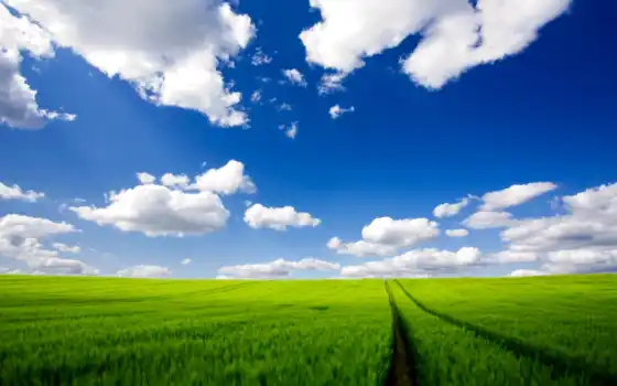 облака, открытый, оцифрованный, универмаг, маржа, трава, поле, поле,