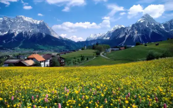 обои на рабочий стол, красивые картинки, картинки для ipad, обои для android