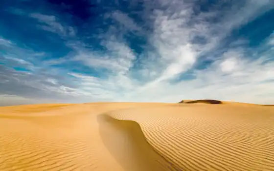 пустыня, бархан, песок, трава, мышь, дюн
