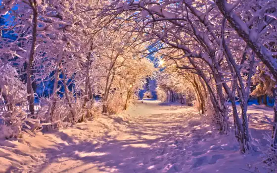 зима, русские, фонар, свет, лес, деревья,