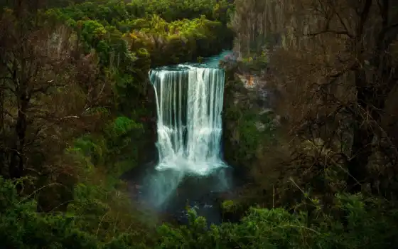 водопад, тропический лес, озеро, дерево, передний край, eau