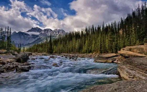 канада, река, природой, деревья, горы, природа, альберта, 