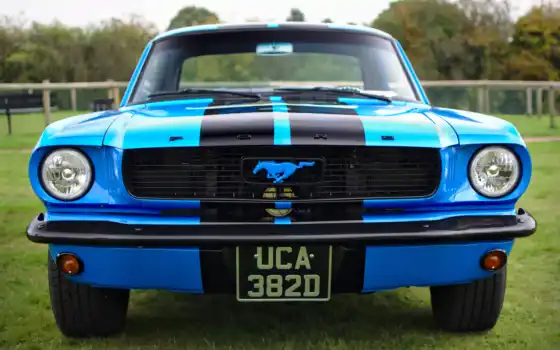 mustang, ford, фронт