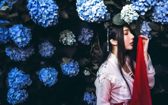 традиционный, наряд, цветы, япония