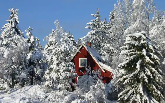 дом, лес, улица, зима, швея,