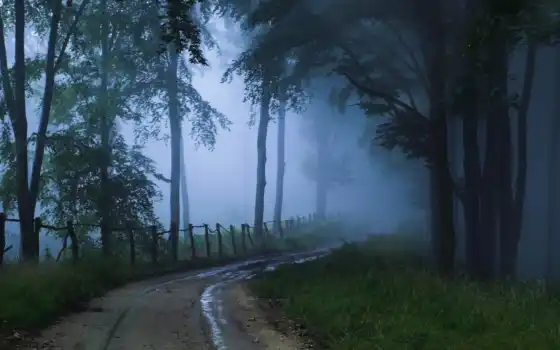 туман, дорога, природа, 