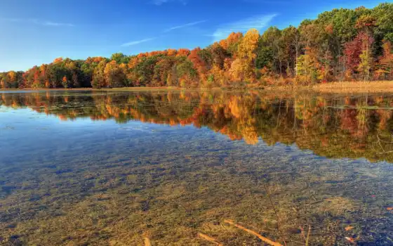осень, природа, река, лес, прозрачность, 
