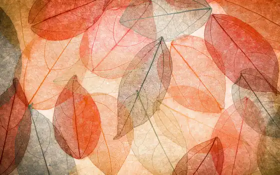 лист, осень, абстракция, лес, красочный, лист, абстрактный, прозрачный