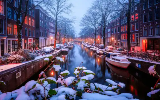 amsterdam, снег, winter, огни, канал, home, утро, дерево, свет