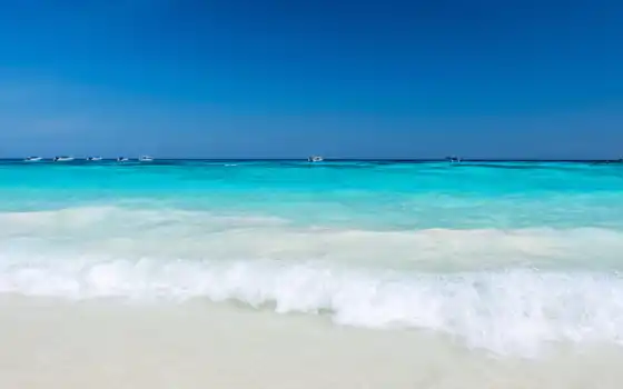 plage, une, sur, salvador, bahama, русский, eau