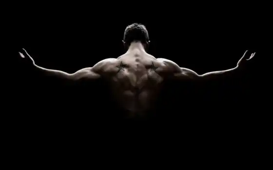 мужское, мышцы, спина, тело, черный, фото