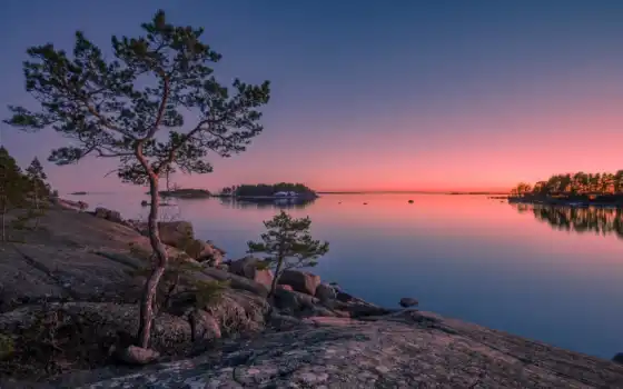 закат, дерево, pour, камень, финский, остров, финляндия