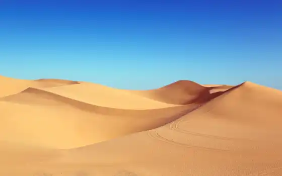 пустыня, песок, дюны, алгоны, фото, ссылки, цвет,