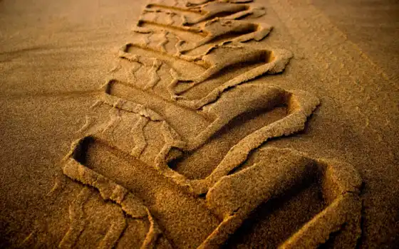песок, море, след, завод, свободный, монтируемый, след, волна