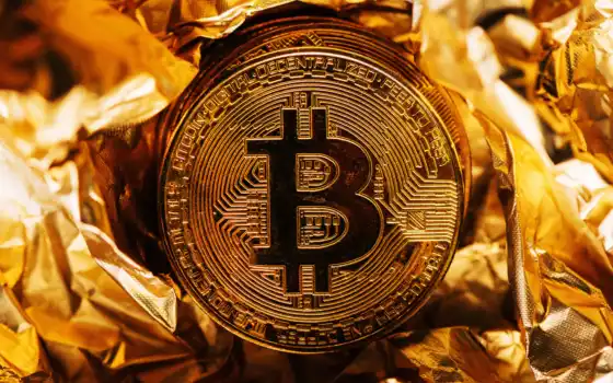 bitcoin, монета