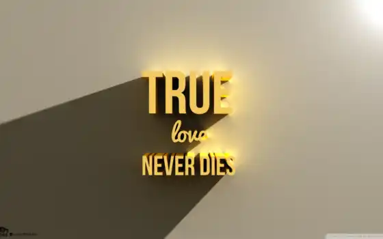 любовь, никогда, умирает, правда,