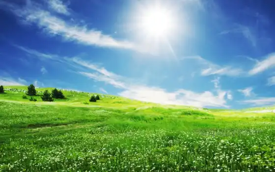 солнце, солнце, поле, трава, голубое, весна, сердце, облака, связная,