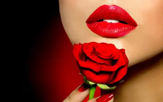 девушка, devushki, губы, красная, красных, роза, розы, 