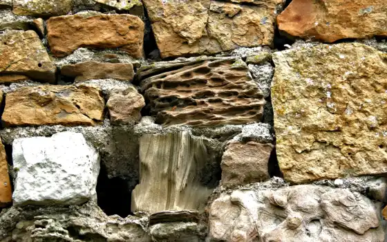 стена, камень, природа