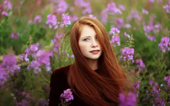 , энни, морская голова, деревенская, зелёная, трава, деревенская, наружная, массонфорсток