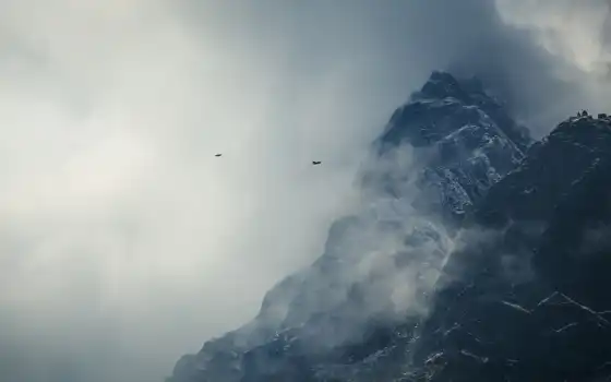 птицы, снег, горы, облака, гималаи, непал, картинка, картинку, 