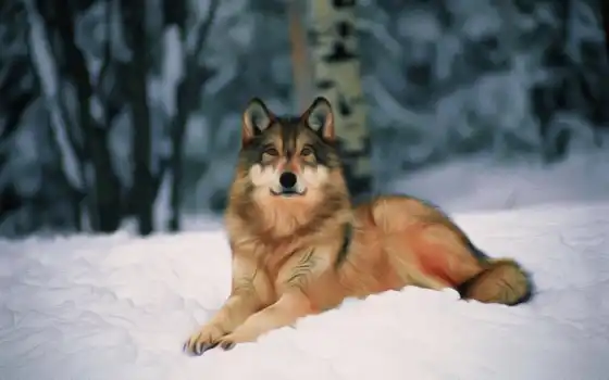 волк, одиночка, хищник, был, волки, волка, зверь, снег, обоя, 