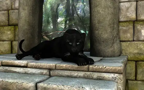 panther, black, panthère, noir, tapisserie, ареал обитания, noire, белый, животное, les
