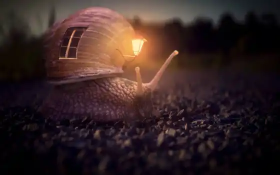 snail, fantasy, lantern, креатив, house, home, ночь, фон