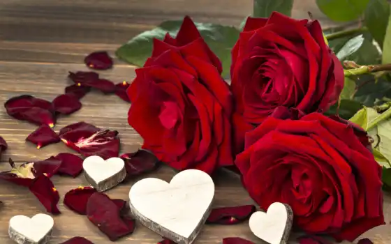 валентин, день, любовь, сердечки, розы, розы, униформы, учитель,