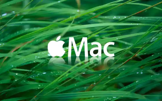 mac, яблоко, система, maco, родословный, песочница, даже технология