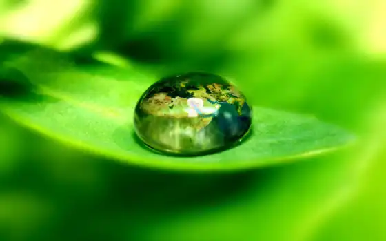 water, drop, leaf, macro, view, samsung, 