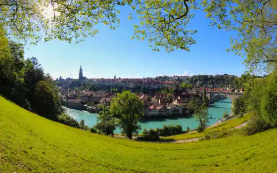 река, дерево, Швейцарии, берн