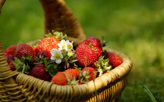 ягоды, фрукты, корзине, клубника, летние, еда, бесплатные, 