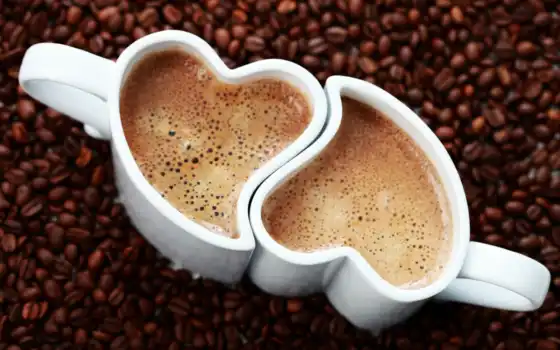 кофе, любовь, чашка, якоб, резинка, руб, семена, корень