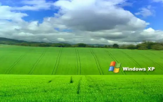 Windows, XP, обои