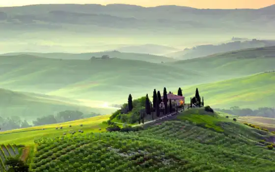 tuscany, italian, italy, пейзаж, маржа, деревья,