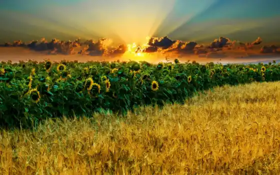 обои на рабочий стол, красивые картинки, картинки для ipad, обои для android