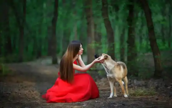 девушка, платье, красное, собака, лес