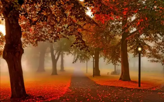 осень, park, природа, деревя, картинка, листья, аллея, взгляд, закат, lantern, 