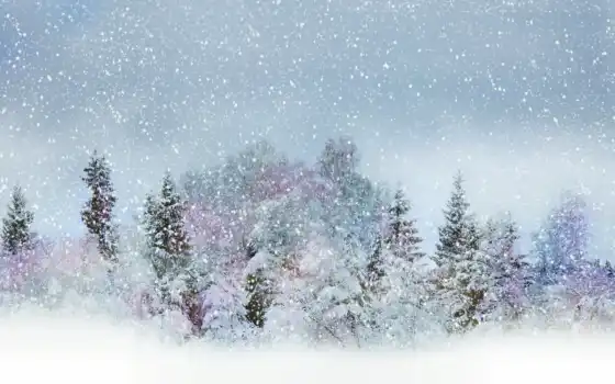 зима, горные деревья, короче, дека, бело, лес, смесь,