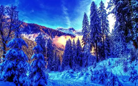 зима, лес, лес, пейзаж, время, год, дерево, лес,