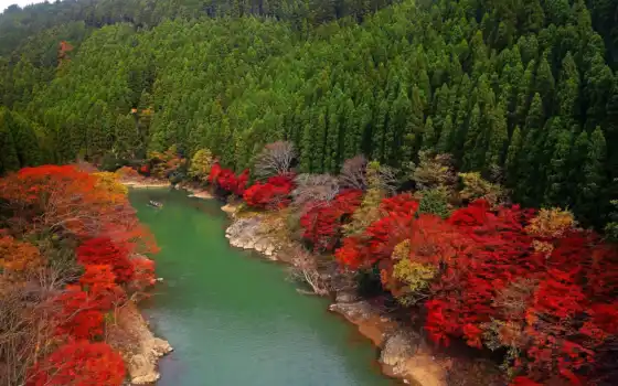 осень, река, фото, миридна, галерея, азия, лес,