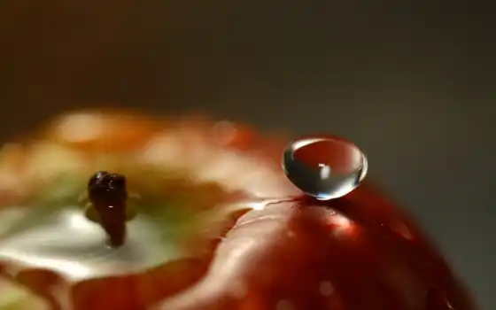 water, drop, apple, плод