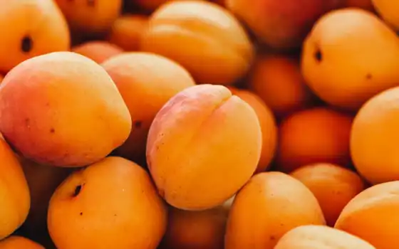 абрикос, много, редко