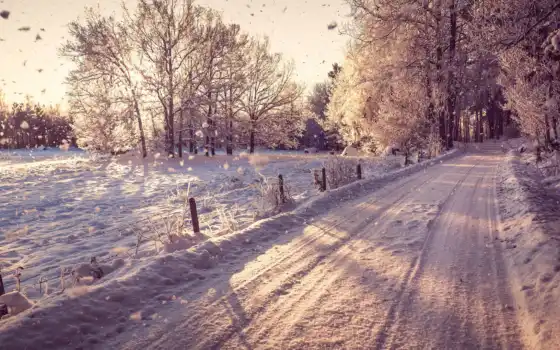 зима, снег, лес, пейзаж, природа, деревья, 