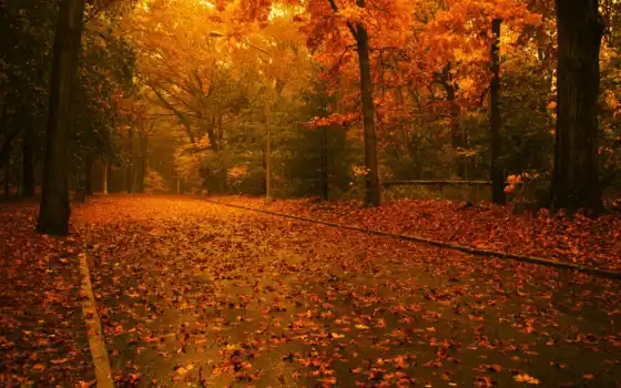 природы, красавица, осень, уже, пушкин, небо, дышало, осенью, 