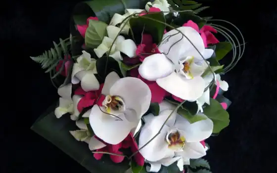 цветы, white, орхидея, розовый, лепесток, decoration, букет
