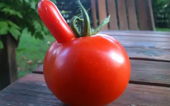 томатное, красное, растительное
