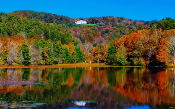 лес, река, озеро, деревья, дом, пейзаж, осень, картинка, особняк, картинку, отражение, 