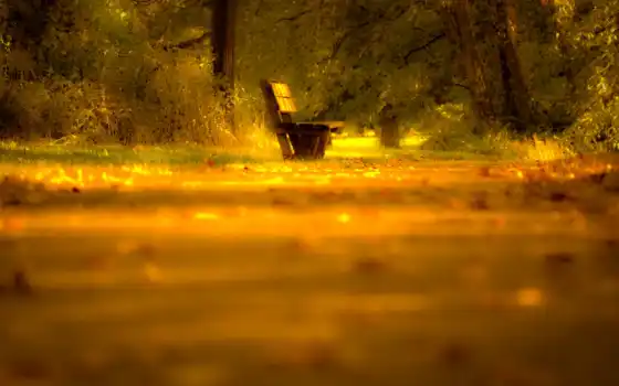 скамейка, дорога, свет, деревья, листья, desktop, 